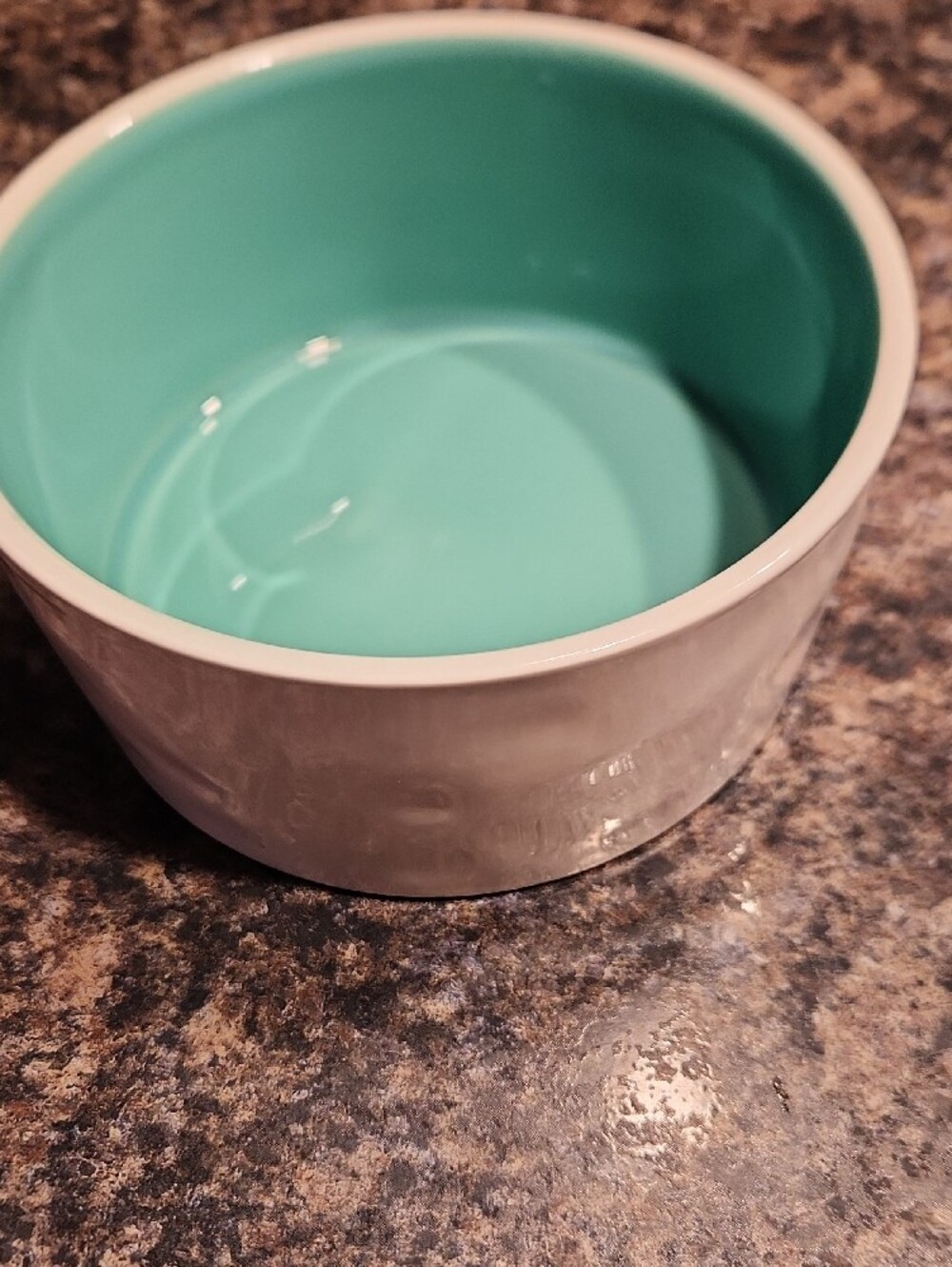Rae Dunn White Ceramic Pet Bowl with Teal Interior - SLURP - Picture 3 of 5